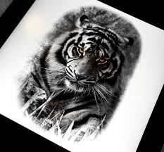 Black And Grey Realism Tattoo Design Realistic Tiger Tattoo Design Done In Black And Grey By Brandon Marques Timeless Tattoo Stud Tatuagem De Animais Tatuagem De Tigre Melhores Tatuagens De Braco