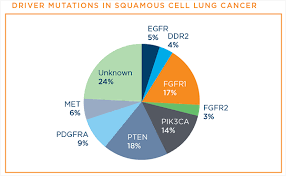 Squamous Cell Lung Cancer Lungevity Foundation