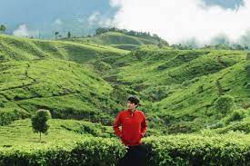 Jun 30, 2021 · dikelilingi kebun teh yang asri dan alami membuat kampung tokyo masih memiliki udara sejuk. 5 Info Seputar Desa Wisata Malasari Di Bogor The Real Hidden Gem