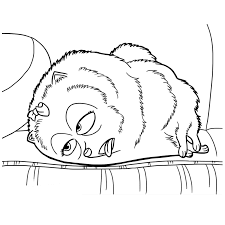 There is a big escalation in coloring publications designed for people within the last 6 or 7 years. Gidget De Poedel Coloring Pages For Kids