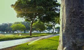 Park operations vary based on local public health conditions. Dubai Municipality Develops 70 New Parks And Playgrounds In Various Residential Areas Of Emirate In 2020