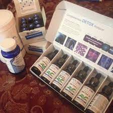 Beginning Lyme Treatment Ldi Des Bio And Detox