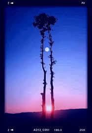 Luna Y Sol Al Mismo Tiempo Luna Llena Luna Naturaleza