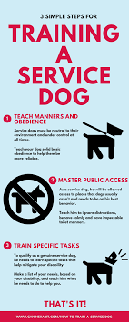 Infographic How To Train A Service Dog Dog Training Psychiatric Service Dog Service Dogs