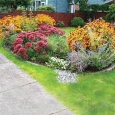 Pin By April Davidson On Gardening Rain Garden Design Rain Garden Plants