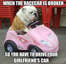 When The Racecar Is Broken So You Have To Drive Your Girlfriend S Car Funny Animal Pictures Bulldog Funny Animals