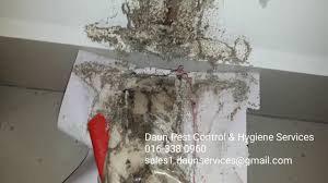 Pest control protects you, your family, your home and your sterling pest control services pvt. Termite Baiting System Method At Townhouse Sg Kayu Ara Pj Island Vlip Lv