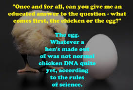 Chicken Or Egg Finally Answered Using Anagram Anagram Answers Chicken