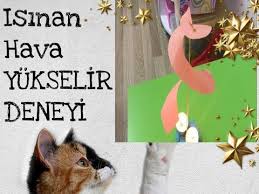 Mater Siyah Adli Kullanicinin Deney Panosundaki Pin 2020 Okul Oncesi Okul Anaokulu Oncesi Etkinlikleri