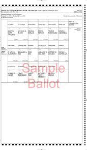 In order to find your example ballot, you will need to know your municipality. What You Need To Know About The Public Advocate Election The New York Times