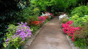 503 likes · 30 talking about this · 650 were here. Botanik Botanischer Garten Duisburg Duisburg