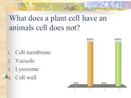 In animal cells, the mitochondria produces the majority of the cells energy from food. True False Plant And Animal Cells Are The Same Ppt Video Online Download