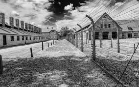 Bruno este vedetă în polonia. LecÈ›ia De Istorie LecÈ›ia De Istorie 27 Ianuarie Eliberarea LagÄƒrului De Exterminare De La Auschwitz La Data De 27 Ianuarie 1945 Armata RoÈ™ie A Eliberat LagÄƒrul De Concentrare De La Auschwitz