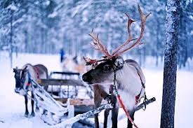 However, he does not appear on that poem! Donner And Blitzen The Real Story By Utalk Marketing Utalk Medium