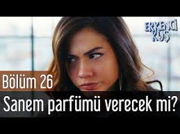 Pin By Jenny Siemion On Erkenci Kus Day Dreamer Le Ali Del Sogno In 2020 Sanem The Dreamers Youtube