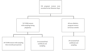 Flow Chart Of The Prospective Study T1dm Type 1 Diabetes