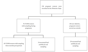 flow chart of the prospective study t1dm type 1 diabetes