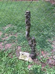 Serving the inland empire area, we sell, design, and install chain link fences and barbed wire for. How To Remove These Tree Stumps That Have Grown Into The Chain Link Fence Homeimprovement