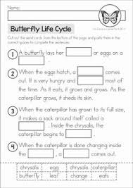 Pin On Butterfly Life Cycle