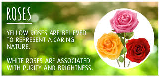 Red roses represent love and white flowers symbolise purity and innocence. 8 Flowers For Mother S Day Gardening Tips With J Parker S