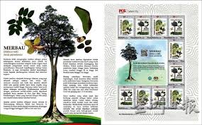 Bunga tersusun dari beberapa bagian yakni, kelopak bunga, mahkota bunga, benang sari dan putik. Bunga Raya Is National Flower And Now We Have National Tree Merbau