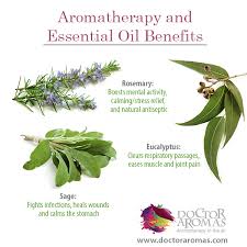 Doctor Aromas Unique Aromatherapy Scents Have The Remarkable Ability To Help Enhance Both Mental And Ph Aromatherapy Scents Essential Oil Benefits Aromatherapy