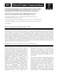 Image result for Blainvillea gayana