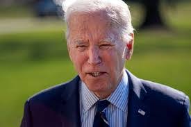 Elzbieta Bartnik's Instagram, Twitter & Facebook