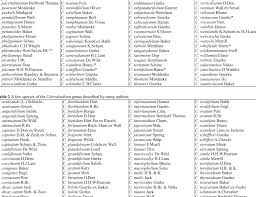 Image result for Clerodendrum pleiosciadium