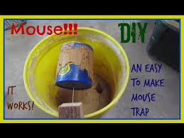 Mouse trap homemade good idea mouse trap bucket mouse trap #mousetrap #goodideamousetrap #bucketmousetrap. How To Make A Mouse Trap From A Five Gallon Bucket Youtube