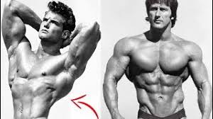 Exercises and workouts organized according to muscle groups (split) 50/50 ratio between compound and isolation lifts. The 8 Best Exercises To Get A V Taper Bound To Impress In 2021 Herculean Strength