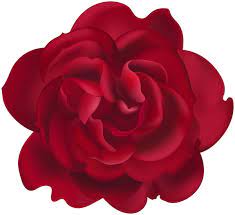 Red Rose Flower Clipart Clipart Flower Red Rose Red Roses Rose Flower Red Rose Flower
