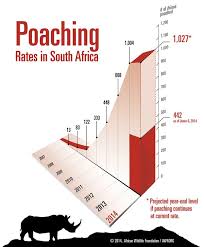 Vietnam S Ministry Of Health Confims Rhino Horn Has No Medicinal Value Rhino Poaching Graph Awf Rhino Poaching Wildlife Foundation Rhino