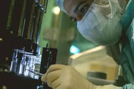 Em 17 de janeiro, a anvisa aprovou o além da oxford/astrazeneca, a agência também concedeu registro definitivo para a vacina da pfizer, no dia. Vacina De Oxford Passa Na Primeira Fase De Testes Em Pessoas Revista Pesquisa Fapesp