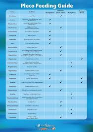 Pleco Feeding Chart For The Aquarium Pleco Fish