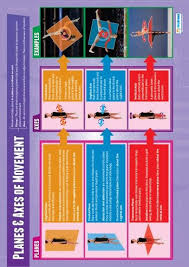 Planes And Axes Of Movements Poster Education Poster Physical Education Lessons Physical Education Curriculum