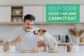 Check spelling or type a new query. 20 Foods Your Dog Can And Can T Eat Pupford