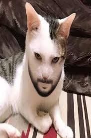 james marriott : r/JamesMarriott