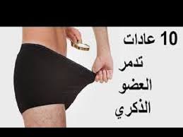 شكل العضو الذكري بالصور