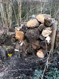 Mini Biotop Fur Insekten Kafer Und Andere Kleintiere Gartenbob De Der Garten Ratgeber In 2020 Kleine Tiere Garten Insekten