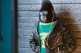 Johnny gorilla sing