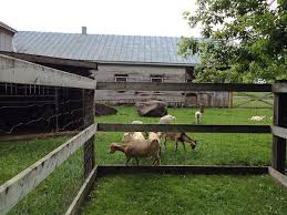 Epingle Sur Quebec
