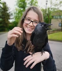The Jackdaw Magazine Subscription | Buy At Newsstand.Co.Uk | Humour & Satire