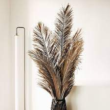 Dried Palm Leaf Decor Large Palm Leaf Decor Leaf Decor Palm Leaves