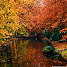 Water autumn leaves tumblr live wallpaper 29 High Resolution Ultra Hd Autumn Wallpaper Venera Wallpaper