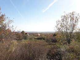 Alege și închiriază terenul dorit, în funcție suprafață, poziționare și preț. Teren De Vanzare Str Fagetului Oradea T14