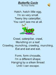 Oh oh oh wait and see out of the chrysalis,my oh my out comes a pretty butterfly. Butterfly Cycle By Suzy Gazlay Hatch Hatch Little Egg I M So Very Small Teeny Tiny Caterpillar You Can T See Me At All Crawl Caterpillar Crawl Ppt Video Online Download