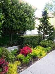 2465 Lower Point Grey Road Like Evergreen Yew Hedge Yellow Grass And Birds Nest Fern Don T Love Pink Azalea Bett Pink Azaleas Bird Nest Fern Flower Garden