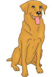 Liberty run golden retrievers is a fully licensed dog kennel in the state of maryland. Golden Retriever Clipart Free Download Transparent Png Creazilla
