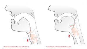 Maybe you would like to learn more about one of these? What Can I Do To Make My Voice Deeper Dynamic Therapy